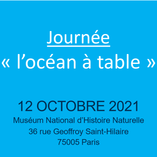journee_locean_a_table.png