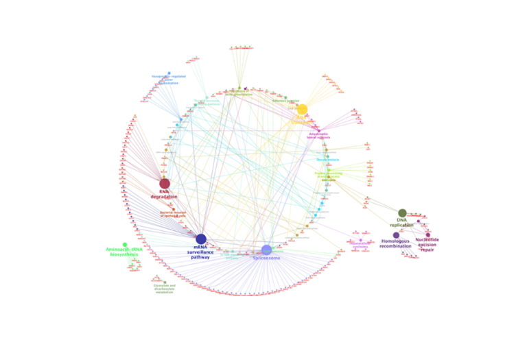 Protein network interacting with constrained G4 (Pipier et al. 2021)