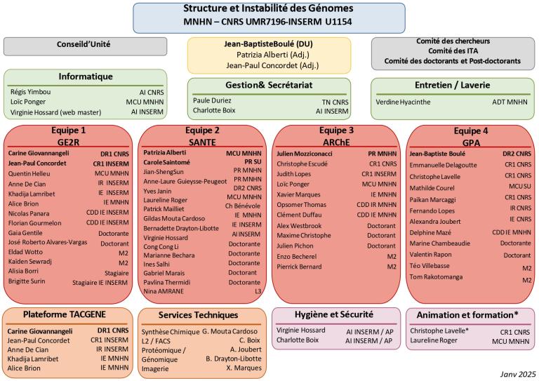 organigramme mai 2025
